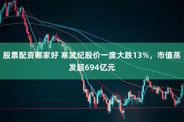 股票配资哪家好 寒武纪股价一度大跌13%，市值蒸发超694亿元